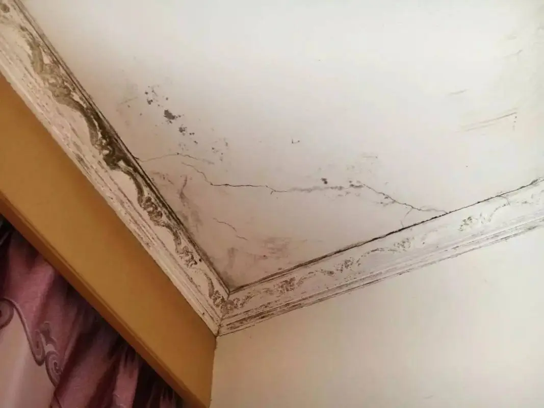 Xử lý trần thạch cao bị mốc Xử lý trần thạch cao bị mốc